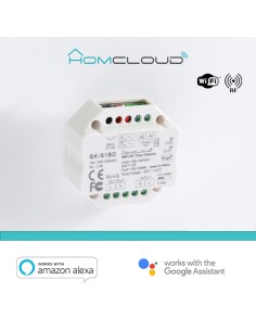 Modulo 2CH Ricevitore Interruttore Dimmer/ON/OFF Wi-fi Life